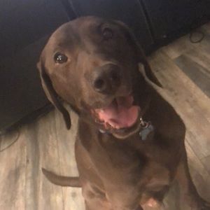 Meet your Posher, Hunter